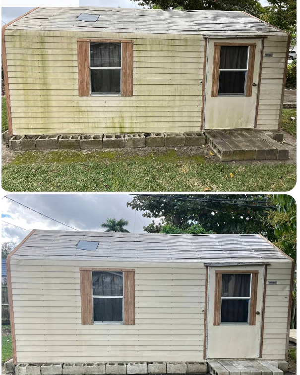 Backyard shed with green algae before and clean siding after washing