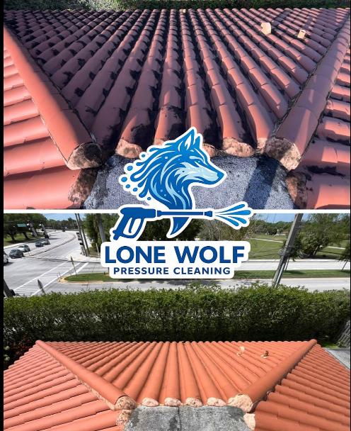 Tile roof before and after soft washing